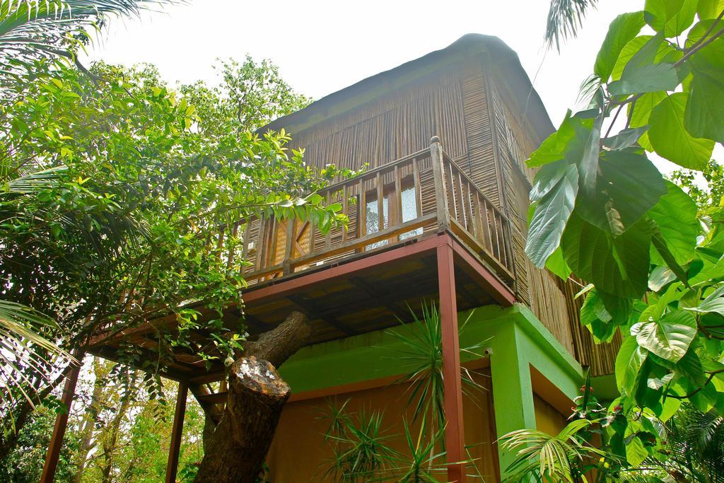 Michèle's Garden Bed and Breakfast Anjuna Camera foto
