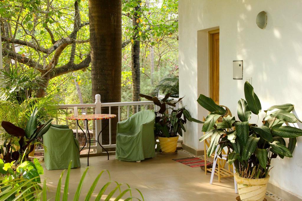 Michèle's Garden Bed and Breakfast Anjuna Camera foto