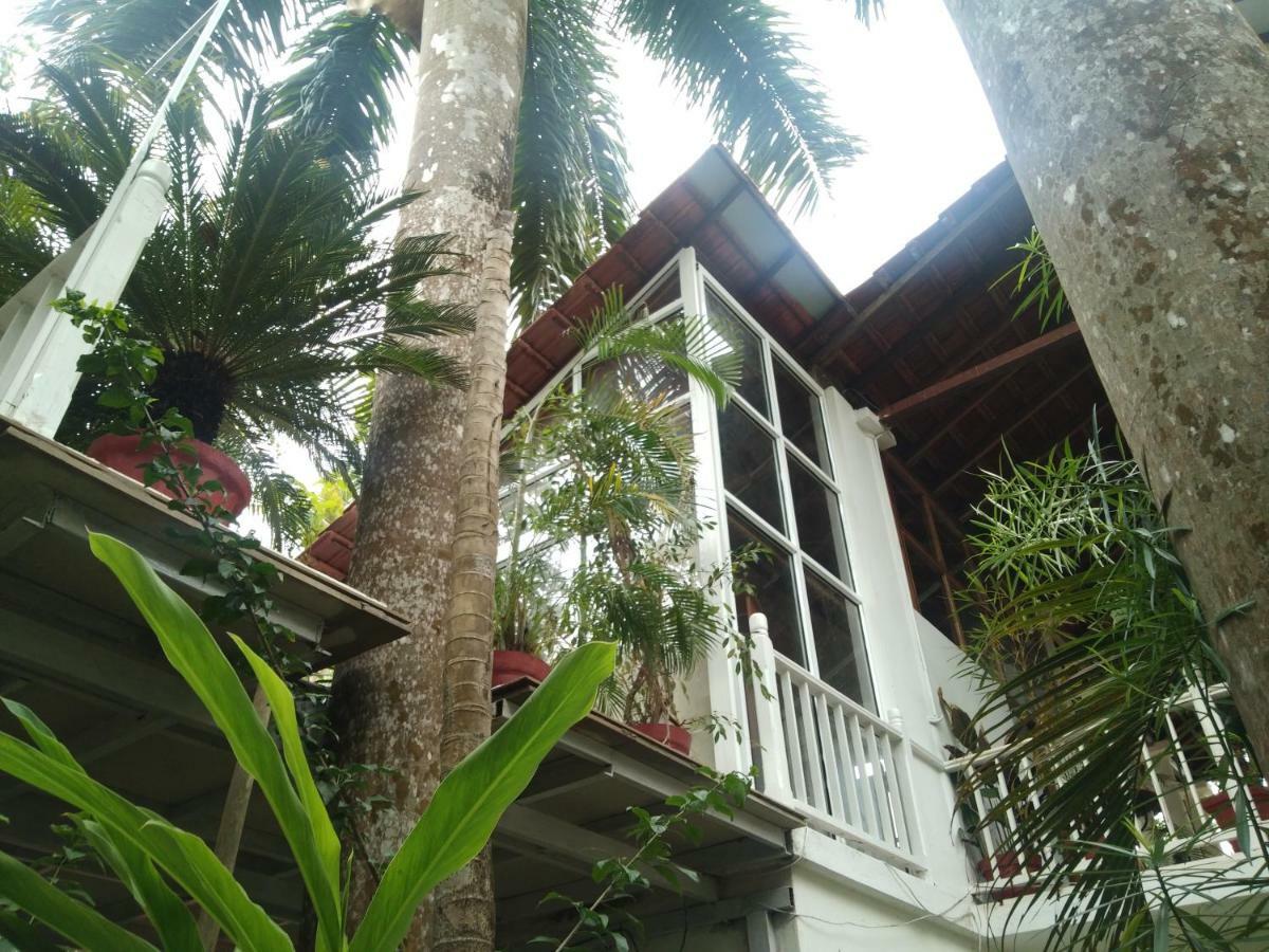 Michèle's Garden Bed and Breakfast Anjuna Esterno foto