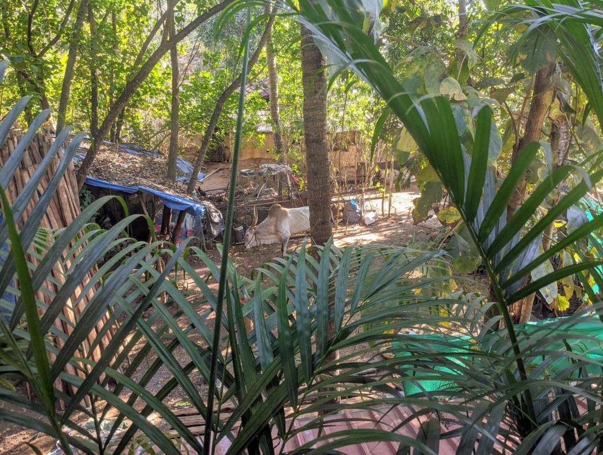 Michèle's Garden Bed and Breakfast Anjuna Esterno foto